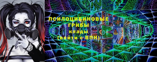 PSILOCYBIN Арсеньев