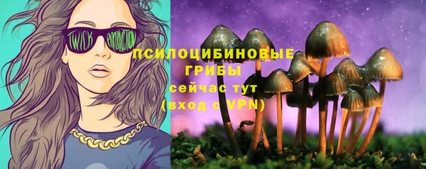 метадон Аркадак