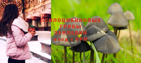 PSILOCYBIN Арсеньев