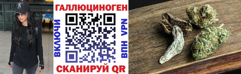 как найти   Георгиевск  Галлюциногенные грибы MAGIC MUSHROOMS 